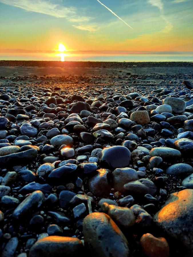 Oceanfront Paradise Comox Exteriör bild