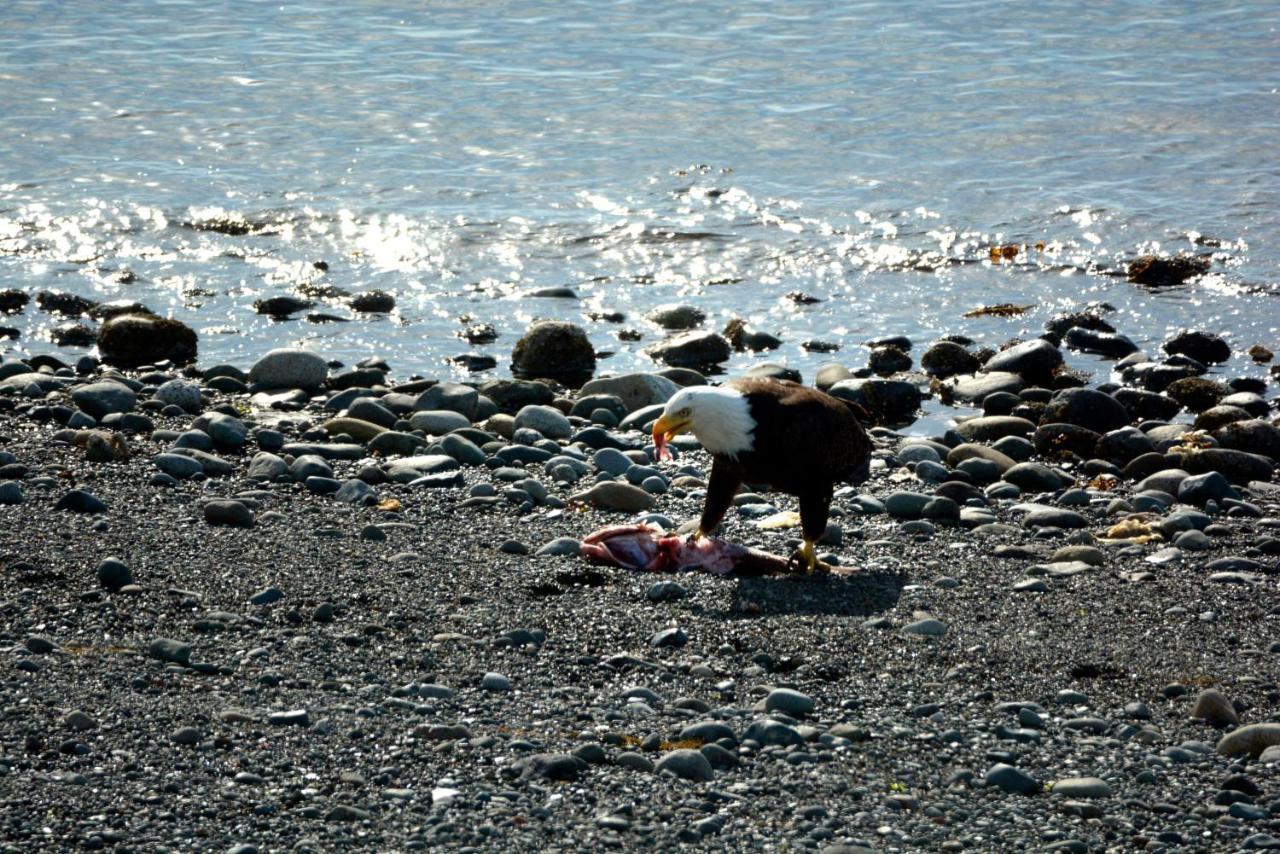 Oceanfront Paradise Comox Exteriör bild