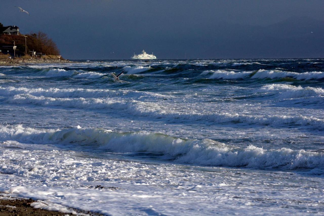 Oceanfront Paradise Comox Exteriör bild